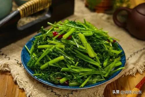 适合炎热的夏天吃的菜,适合夏天吃的清爽的菜