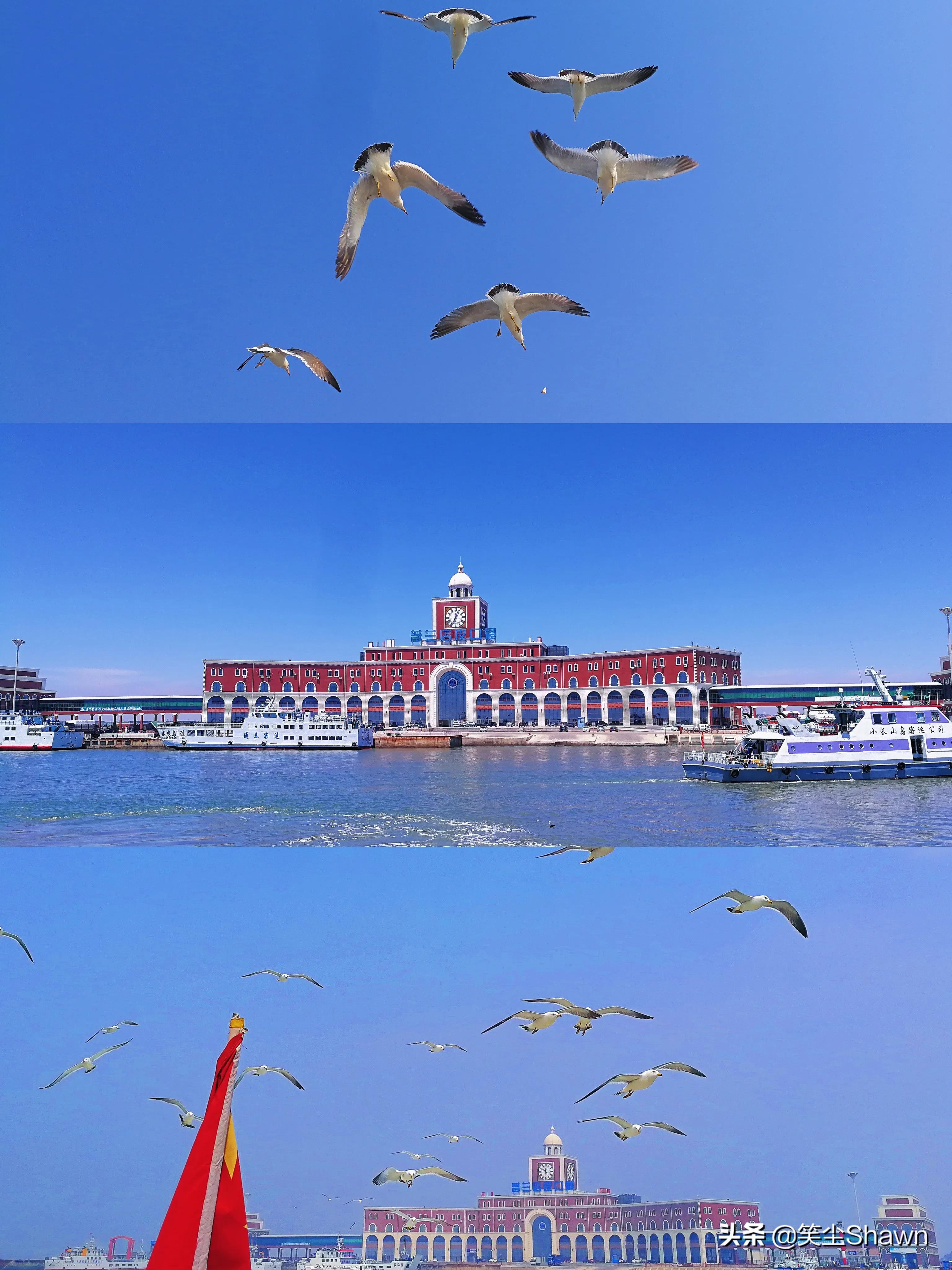 大长山岛｜暑假到这里遛娃不香吗