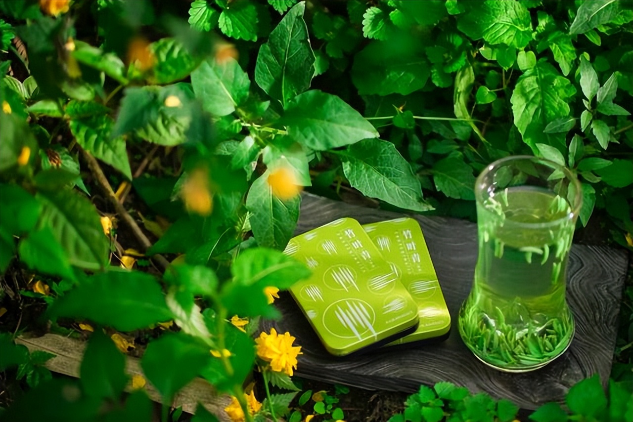 峨眉高山绿茶竹叶青2022年春茶,竹叶青峨眉高山绿茶160克黑袋装