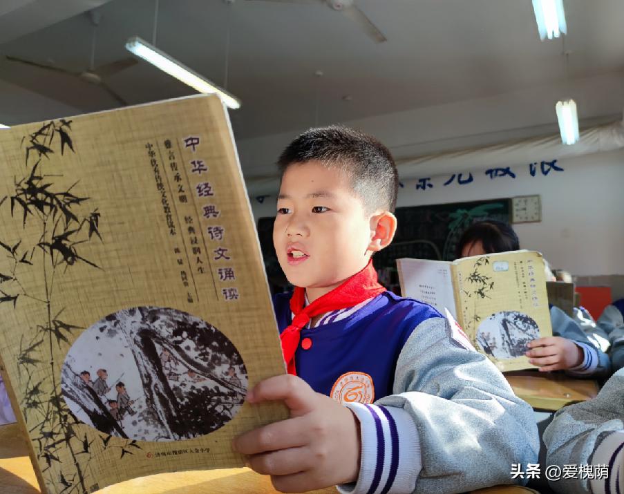 济南市槐荫区大金小学,济南大金小学