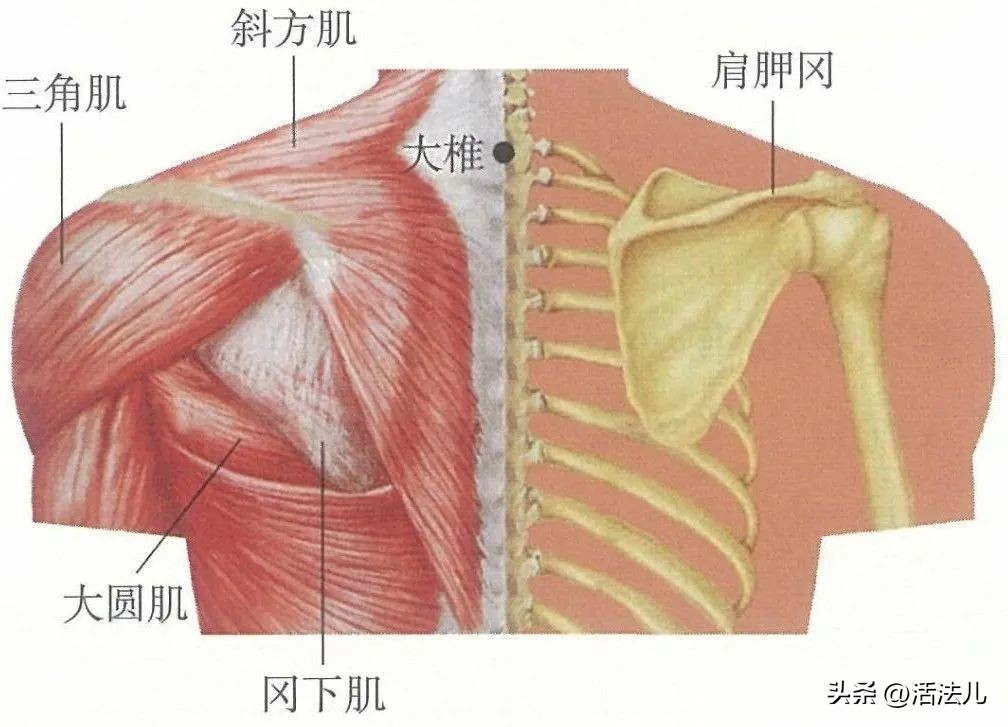 中元节阴气最重是12点还是凌晨,中元节去阴气重的地方注意什么