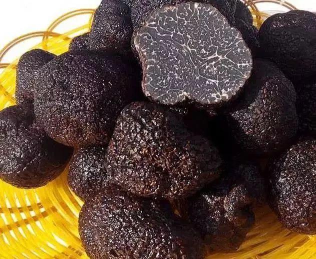 爱的魔力转圈圈蘑菇头,爱的魔力转圈圈彩虹伞