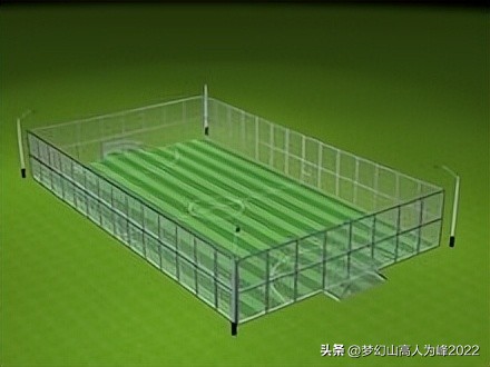 专业足球场草皮,专业足球场多大