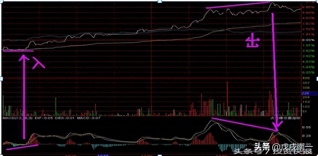 炒股亏几十万的人怎么补救,炒股亏掉5万如何安慰