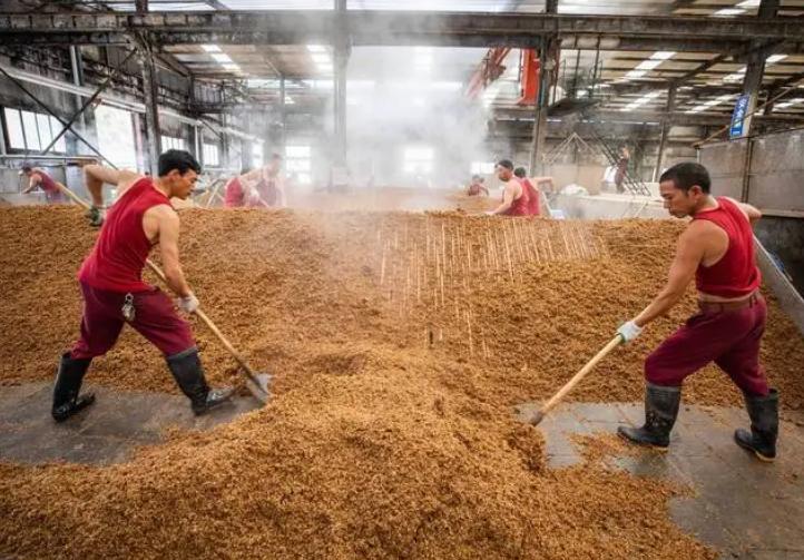 五月海鲜上市时间表,5月份什么海鲜比较多