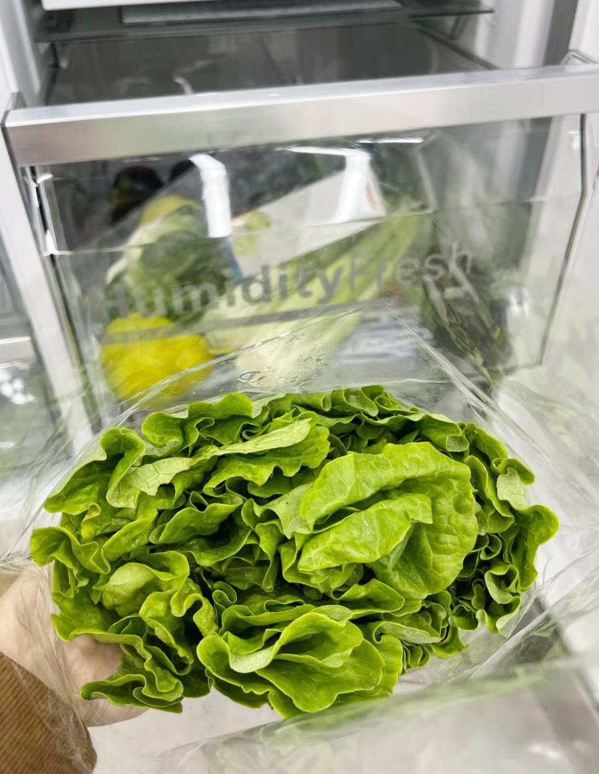 买冰箱记住这三点绝对不被坑,冰箱选购指南4个注意点很重要