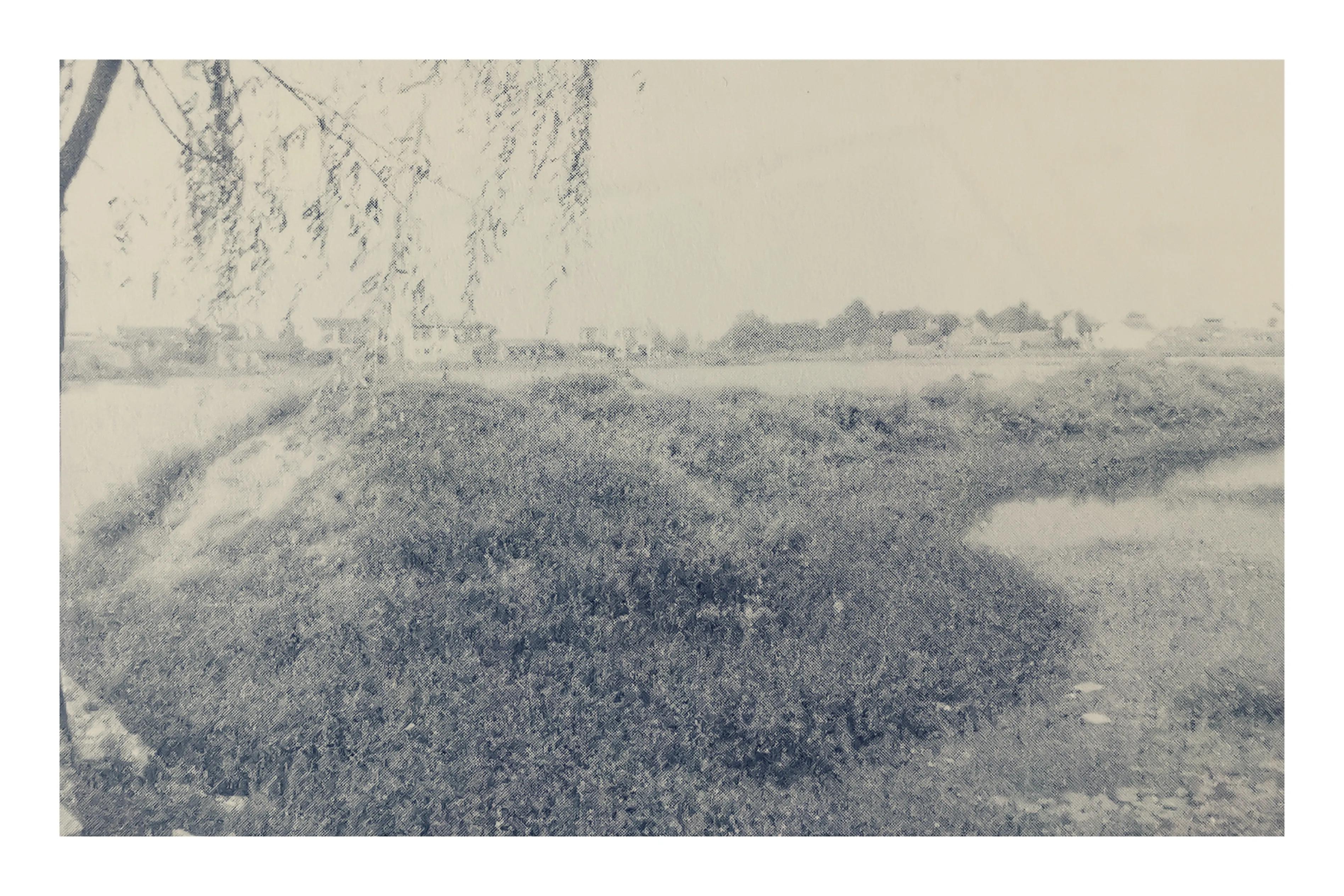 淮阳区陈楚古城,淮阳为什么称为陈楚故城