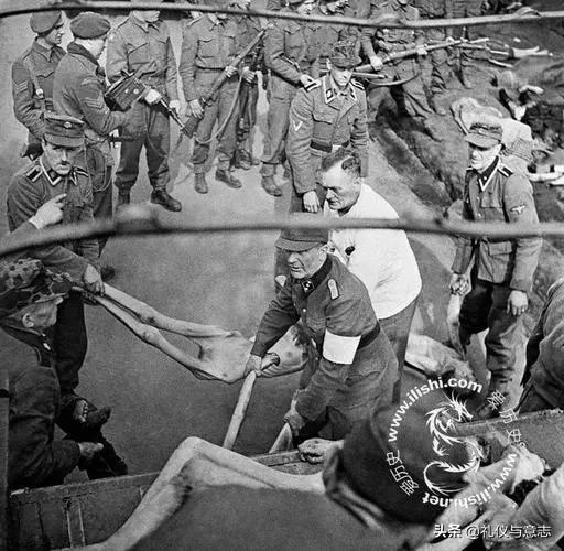 二战中的*党**卫军到底是干啥的