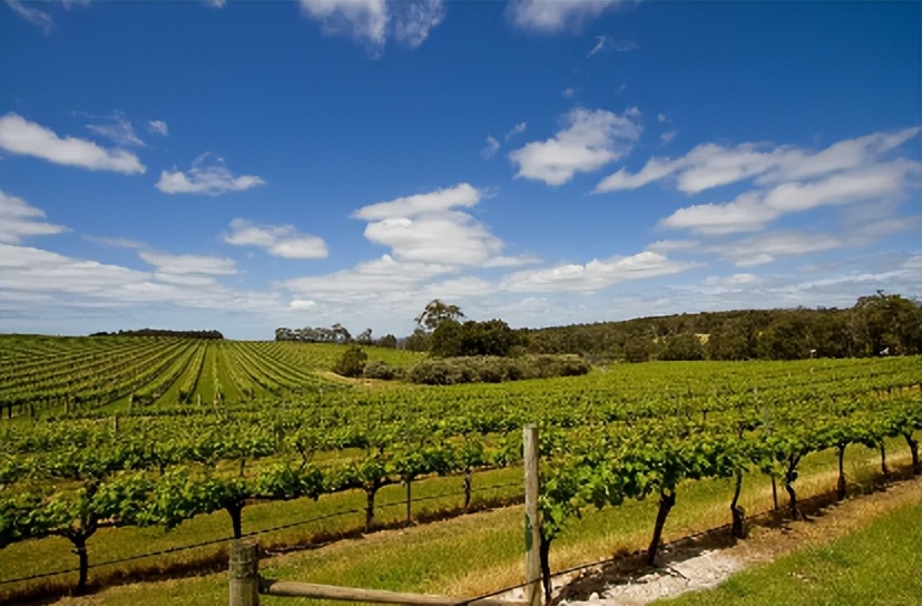 200块，从旧世界喝到新世界，谁说便宜没好货？