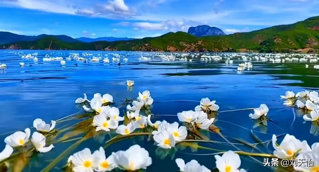 物有本末事有终始则近道矣,物有本末事有终矣