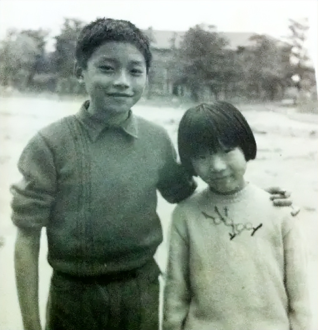 王志文为什么娶许晴,王志文为什么娶陈坚红