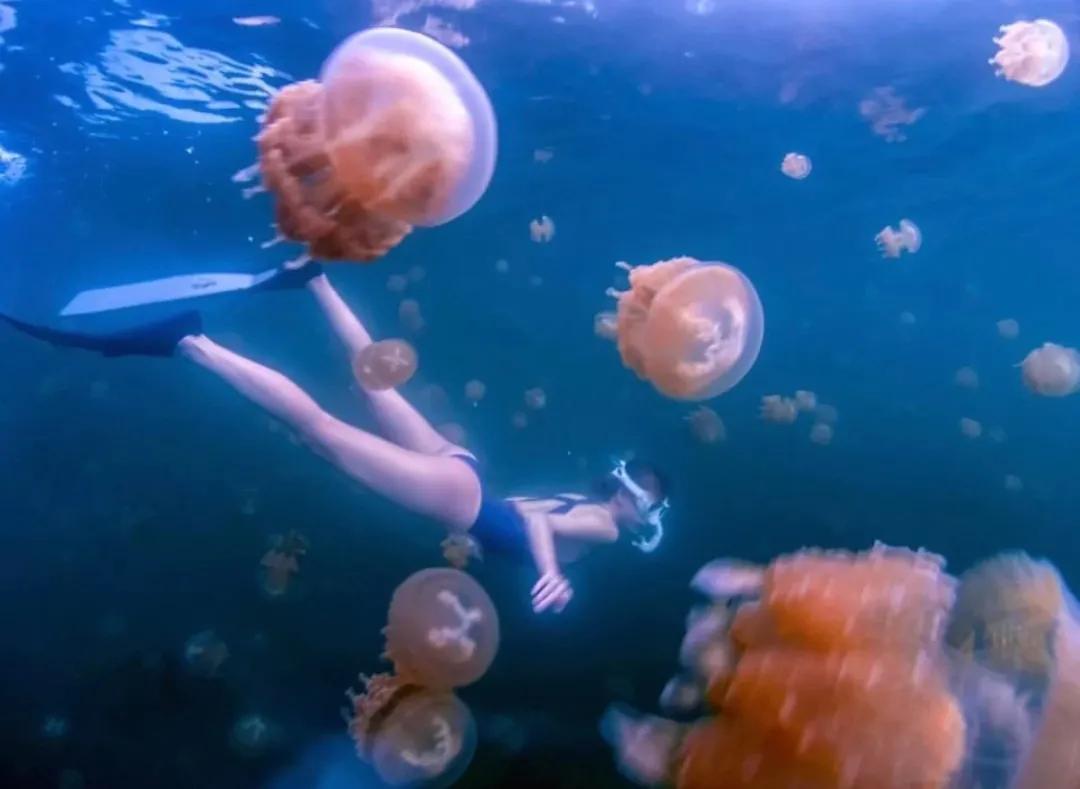 TheRainbowsEnd金币中的蓝色大海的传说