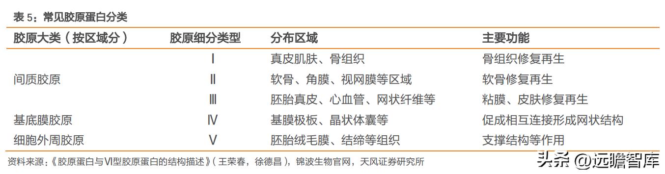 巨子生物重组胶原蛋白,巨子生物三型胶原蛋白获批