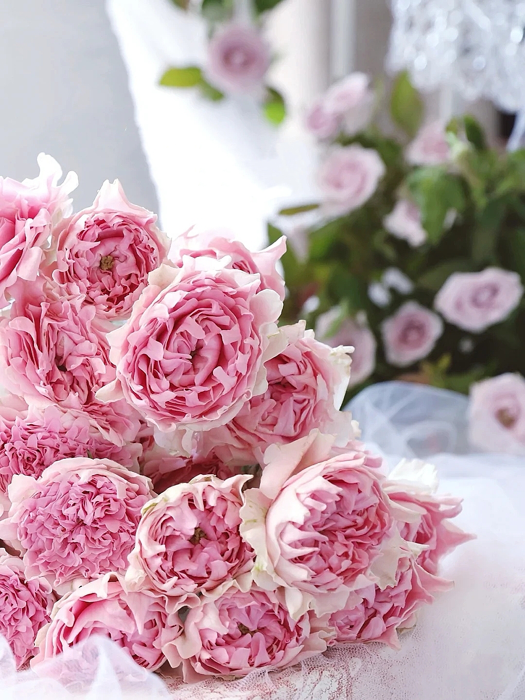 花艺教程花材打理知识,花艺教程常用花材及叶材有哪些