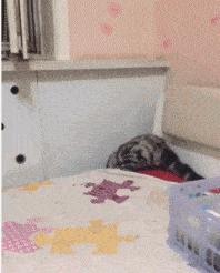 女朋友平胸是什么心理,女生平胸如何安慰