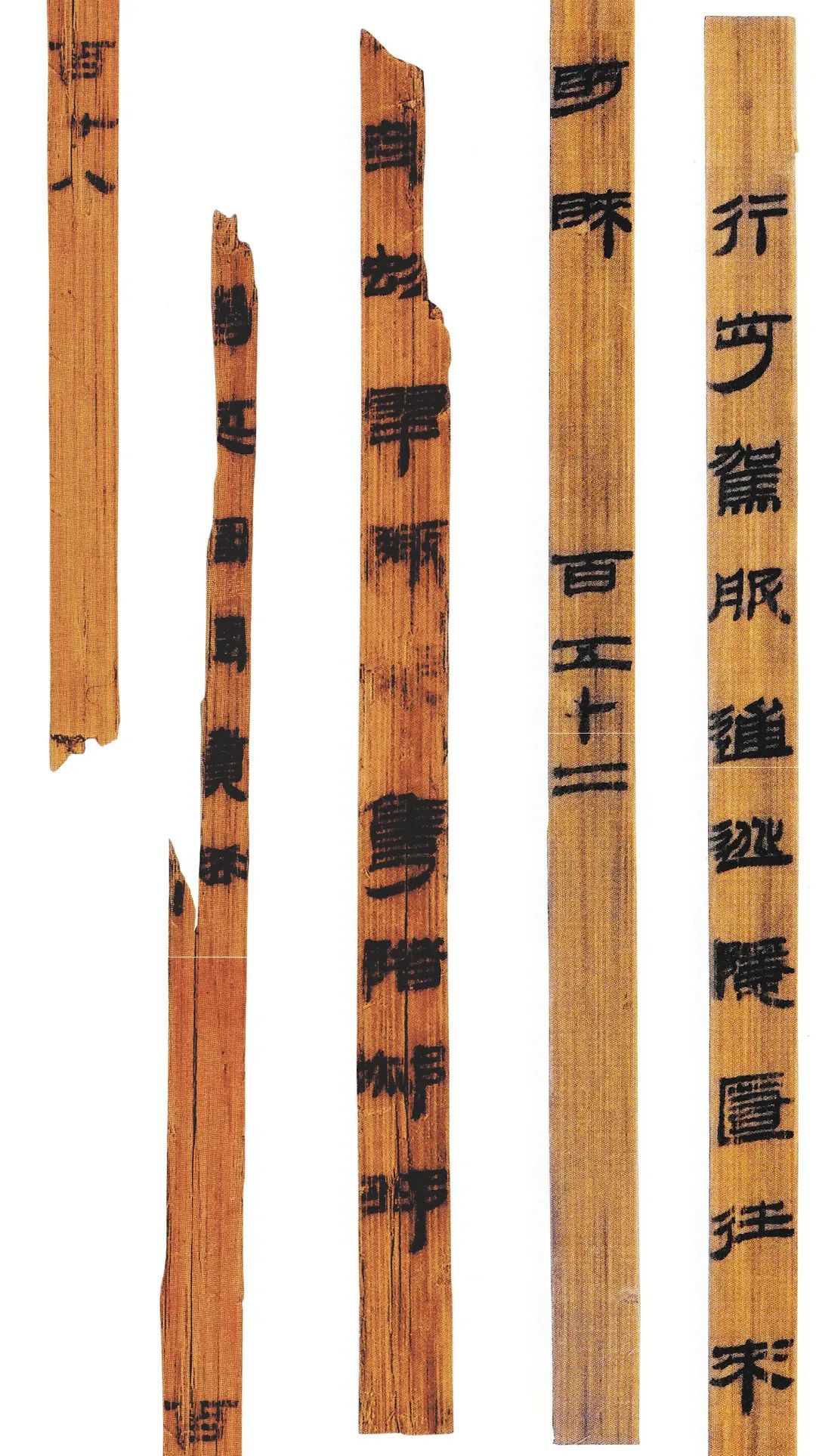 西汉竹书,西汉竹简草隶书法作品