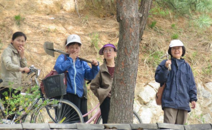 2013年,河北4岁男婴遭石头雨攻击,右手截肢奶奶怒骂:都是你害的