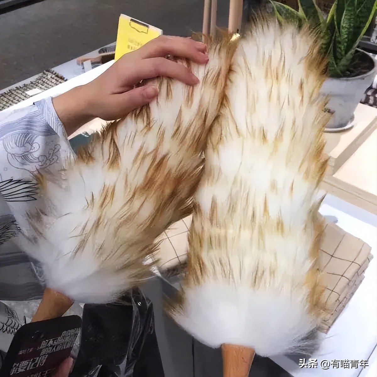 16个变态又实用的养猫妙招必看,养猫必看的100个技巧