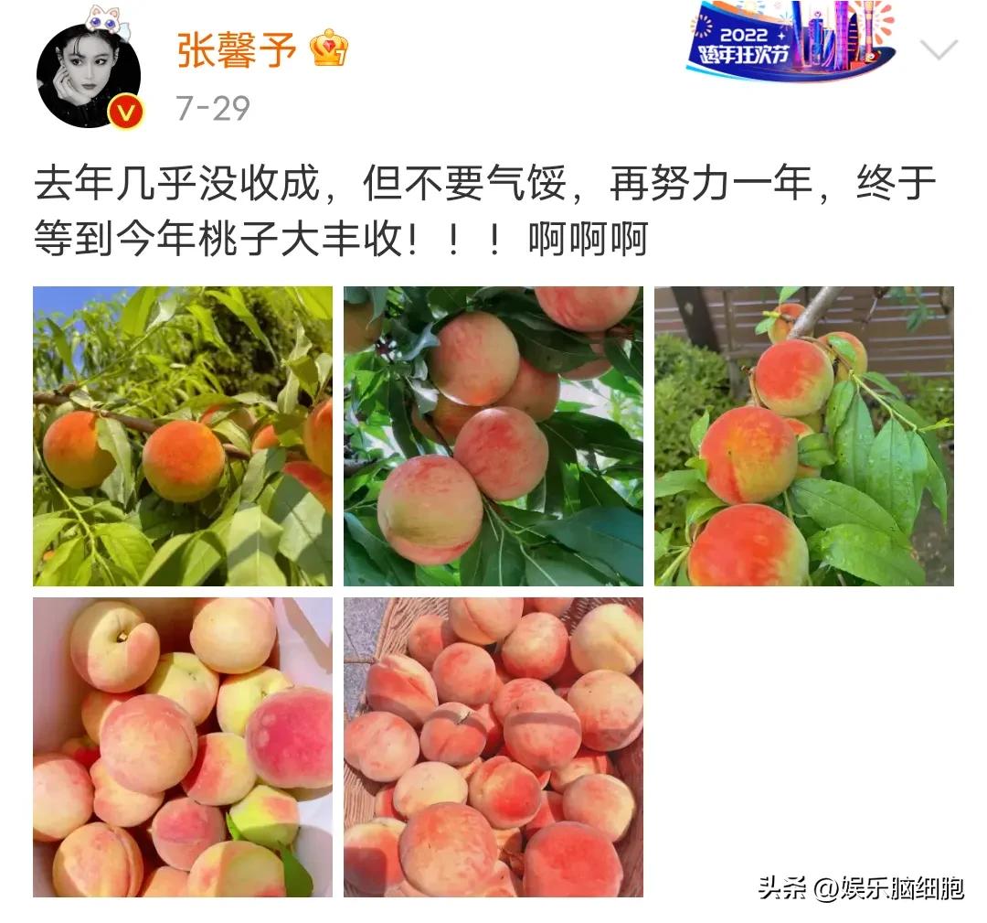 张馨予曾经的话题女王,张馨予情感故事