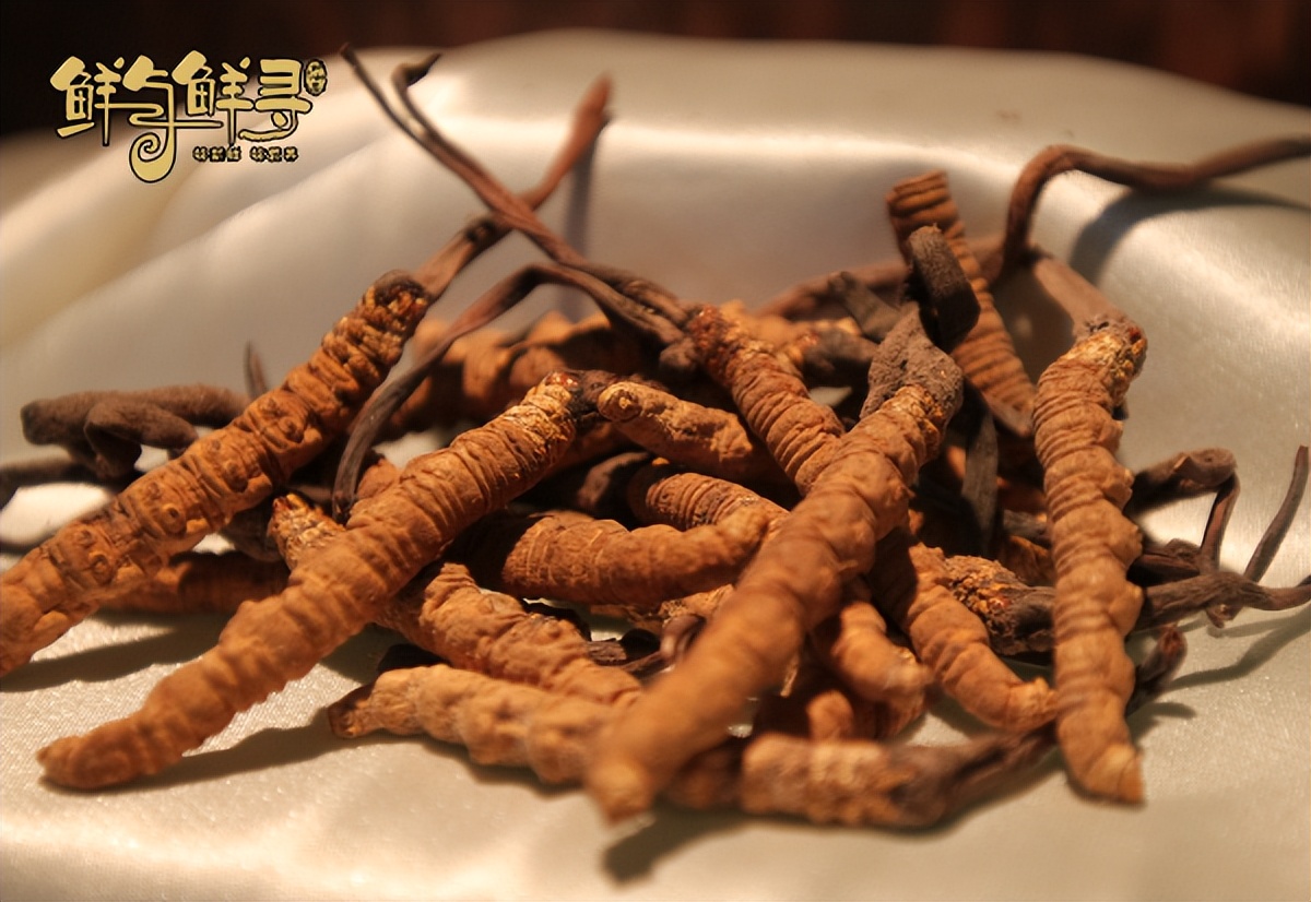 如何判断冬虫夏草是否过期,冬虫夏草的粉末过期还能吃吗