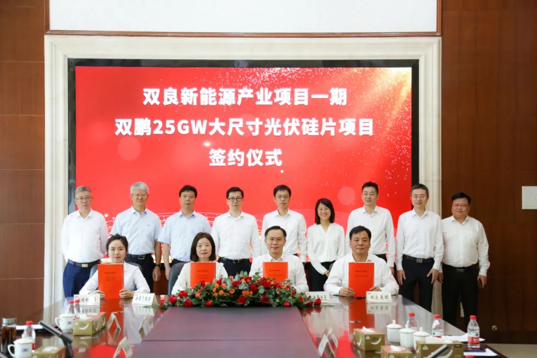 新霖飞投资有限公司,新霖飞光伏发电