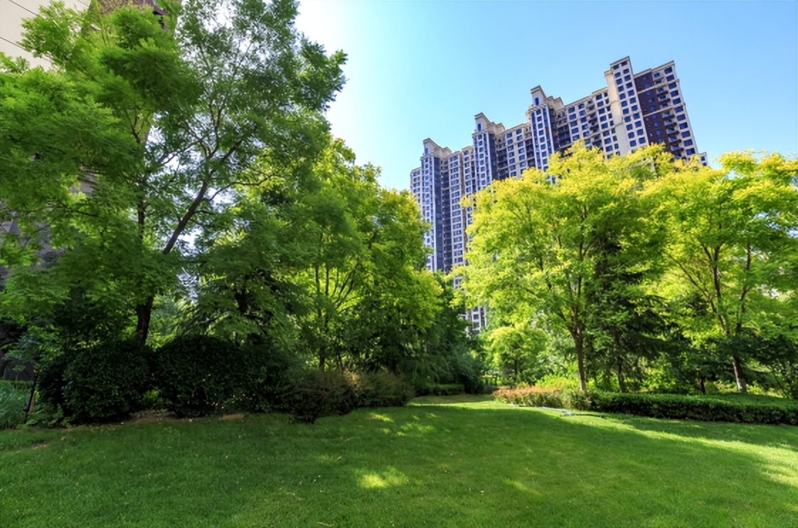 什么树会引起过敏性鼻炎,城市种植什么树最好