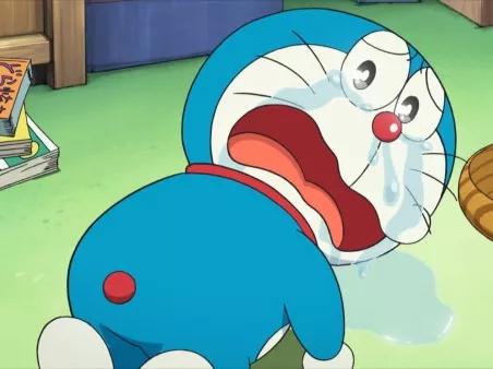 哪种猫招财好养活,哪种猫最招财又好养