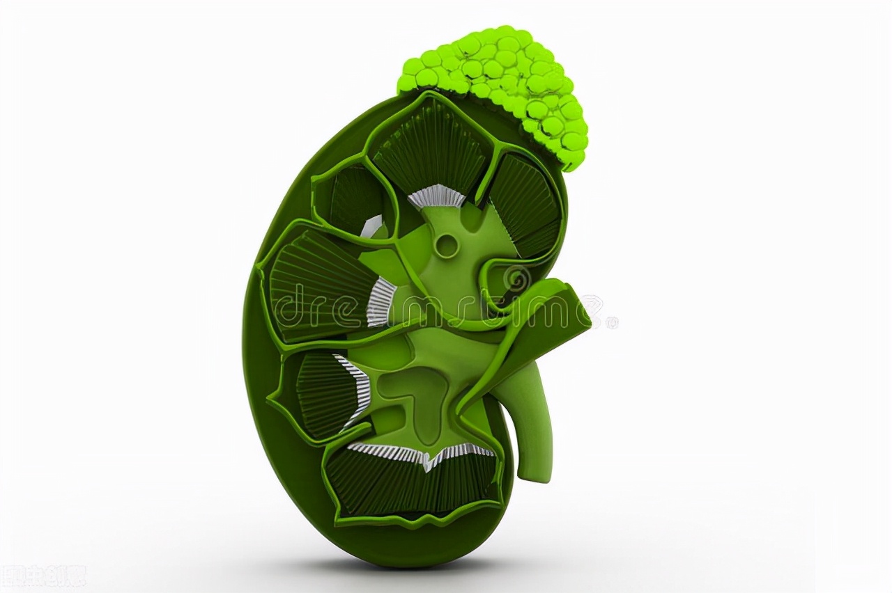 官方揭秘肿瘤治疗黑幕,网上辟谣科学抗癌