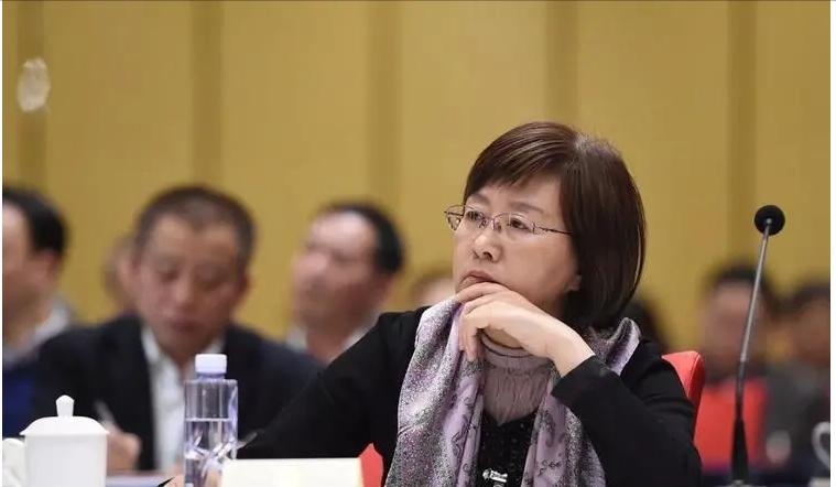 中国女导弹专家祝学军简介,祝学军哪一年设计导弹