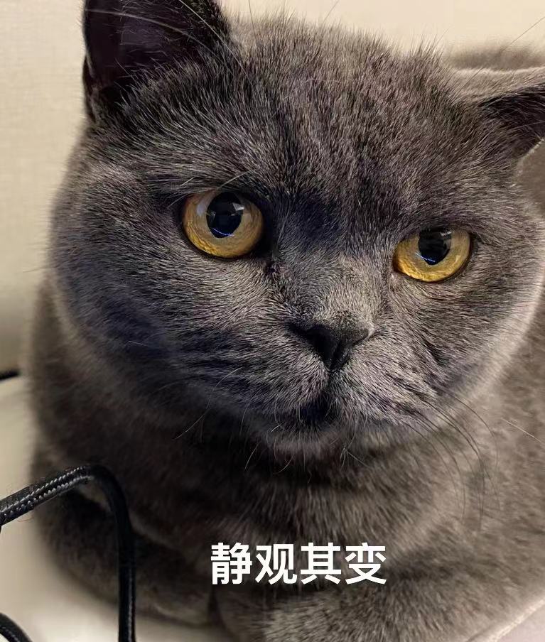 如何用chatgpt赚取300万,ai研究院chatgpt运营秘诀与变现攻略