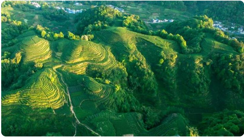 182个基础生字,汉字十八变慧字