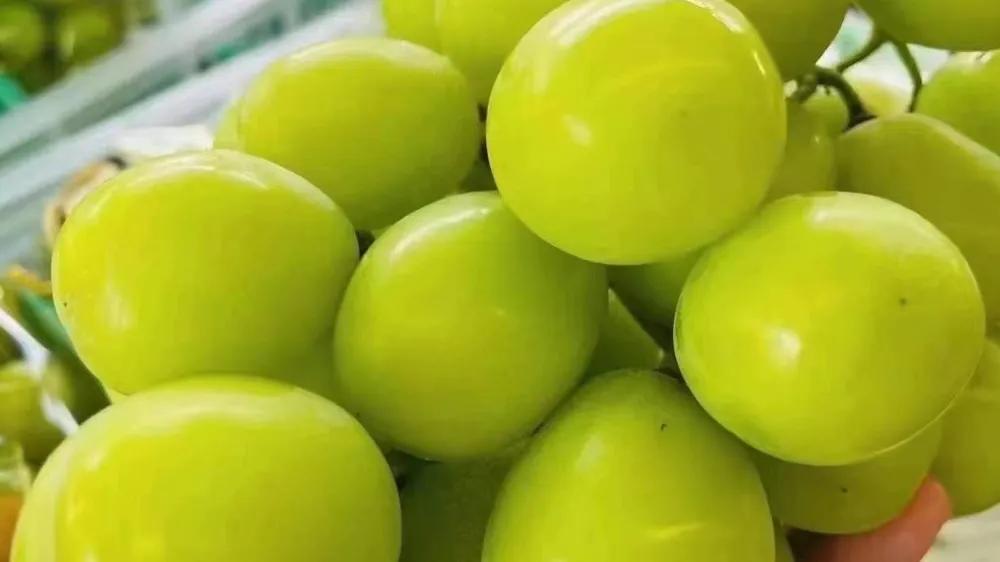 现在开水果店能赚钱吗,如何开一个赚钱的水果店