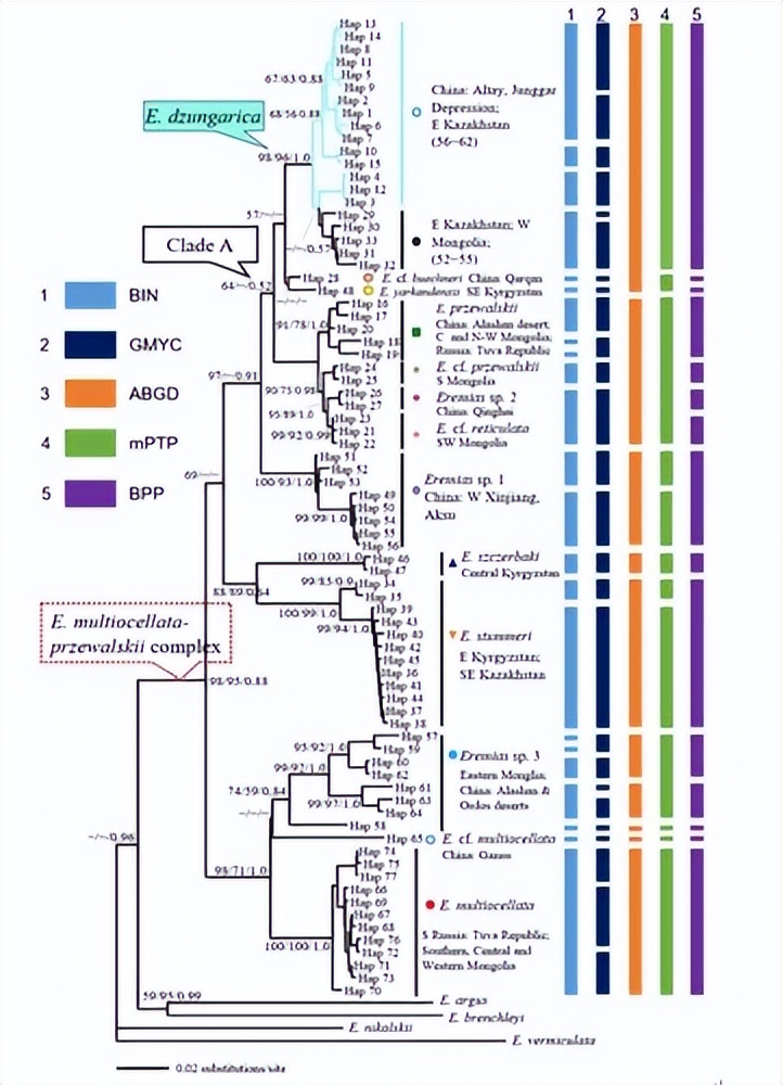 碱性亮氨酸拉链的介入，会对青钱柳根茎发育产生多大影响？