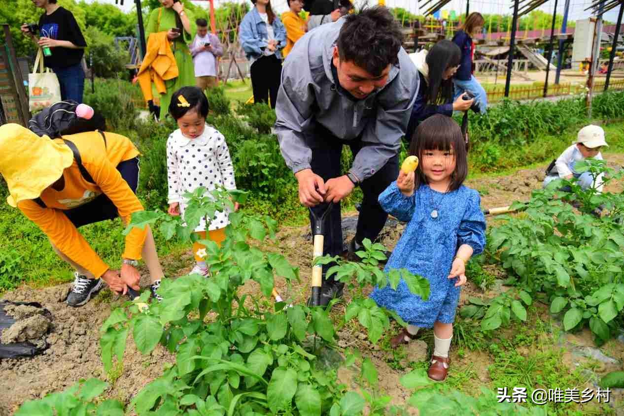 怎样打造一个生态庄园,怎样打造特色农家庄园