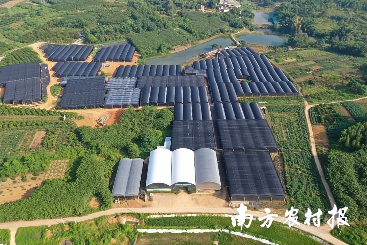 吾心归处为吾乡,吾心归处是原乡歌词