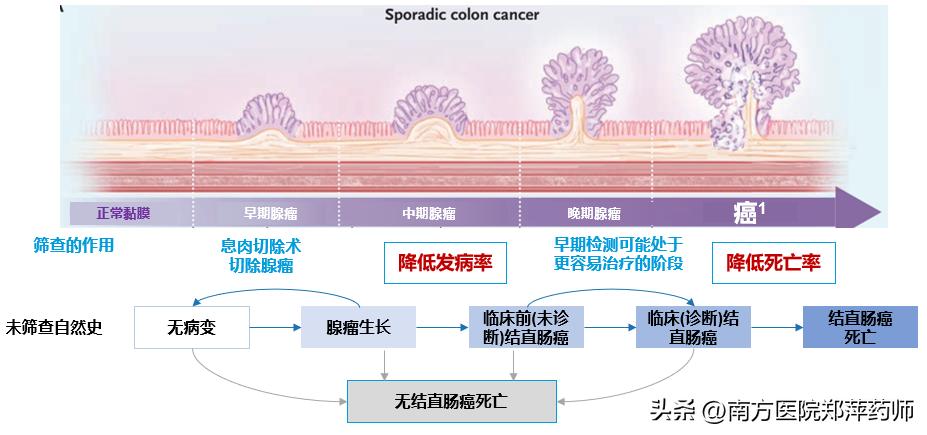 做肠镜前清肠的正确方法,做肠镜最快的清肠方法