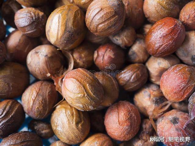 去马来西亚打工一年能赚20万,放弃了月薪8000的工作进厂