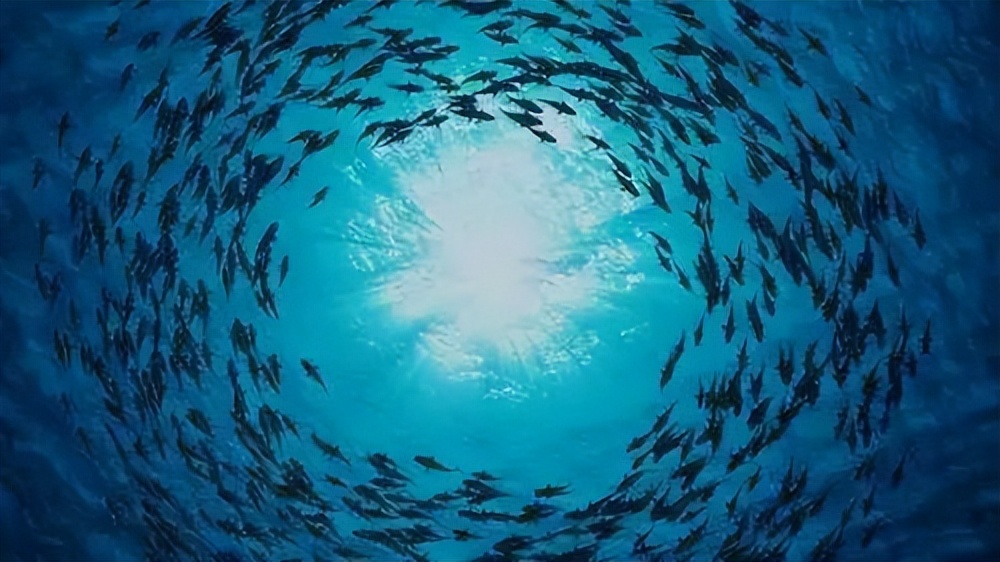 饷店“鱼群爆发力”惠及“巴拉巴拉”，高效触达消费者引爆销售