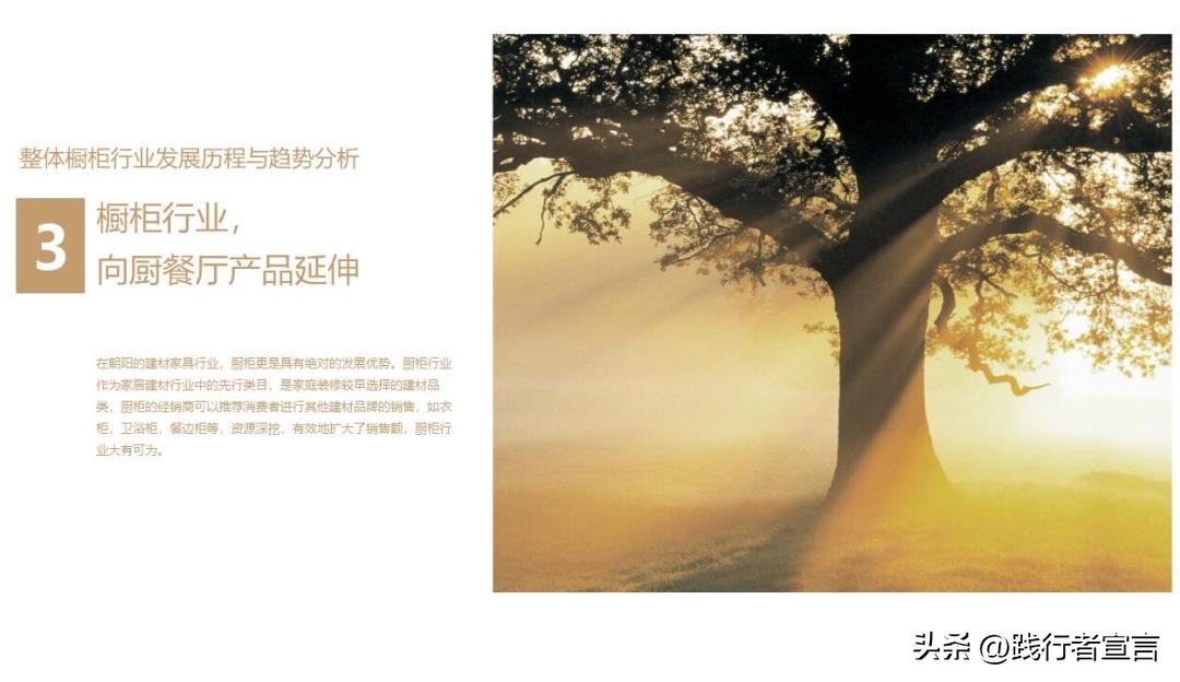 品牌招商加盟政策模板,加盟商招商策划书