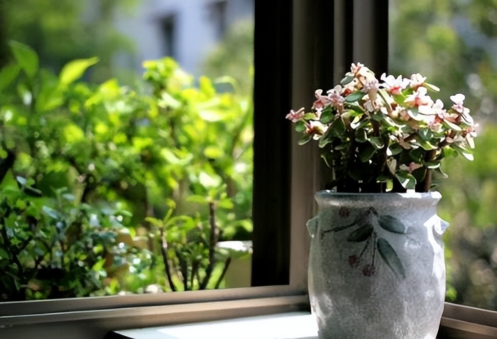 快过年了，五六十岁的人，不管有钱没钱，都要做好以下几种准备