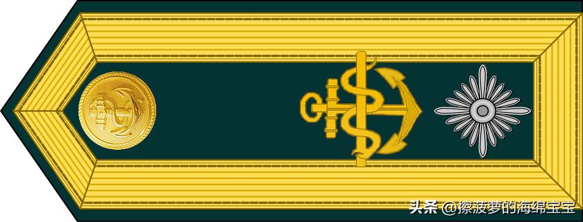 二战德国国防军医疗兵军衔标志