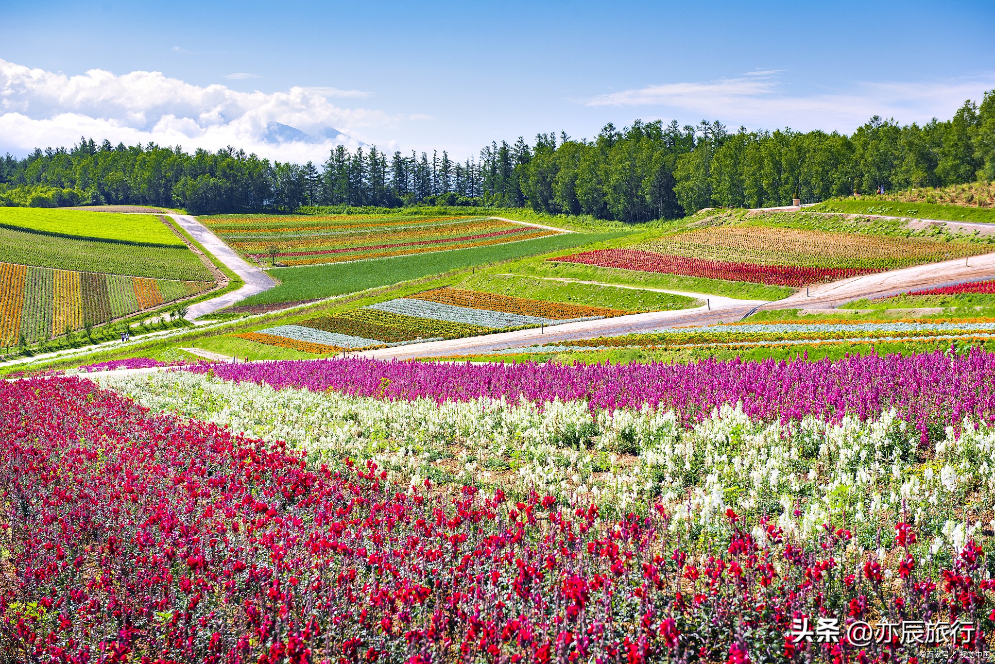 镇江旅游必去十大景点,镇江旅游必去的景点推荐