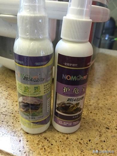 乌龟要怎么养才会养得更好,新手养乌龟的十条建议