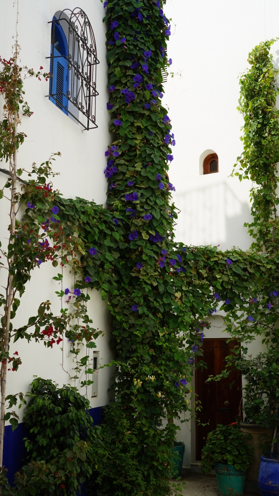 云中鹤空灵音乐,云中鹤钢琴曲