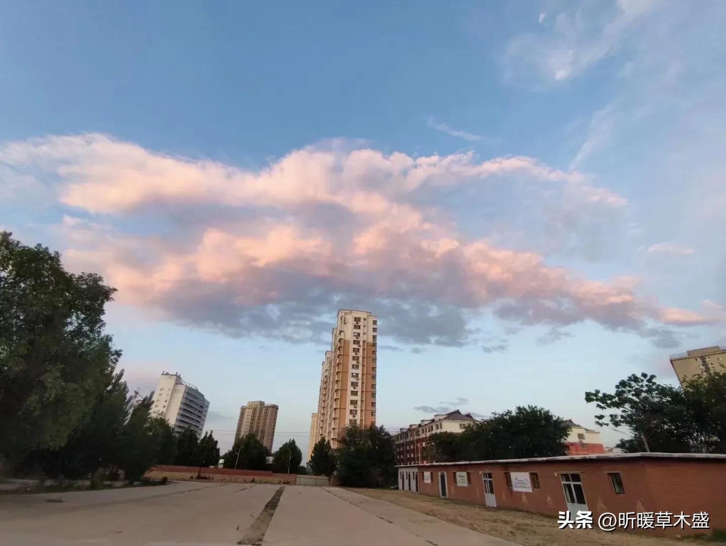 阅读名著摘抄及感悟,写阅读古典名著的感想450字作文