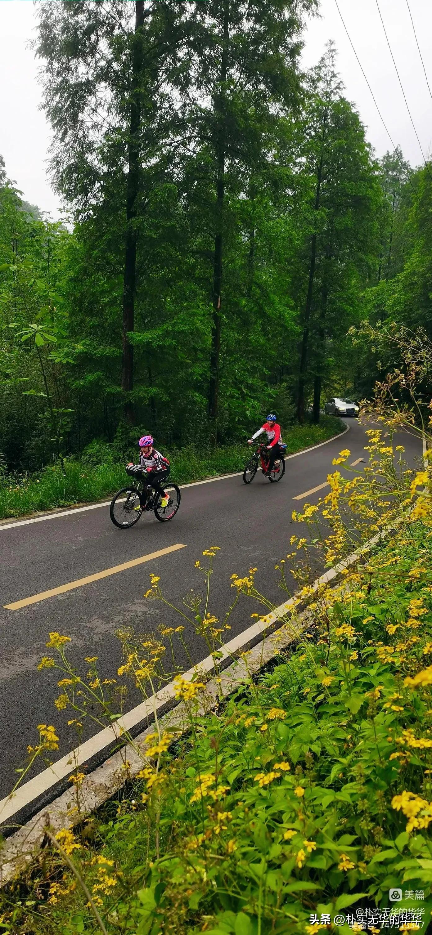 赵公山康养绿道导览图,赵公山骑行森林绿道环线南上北下