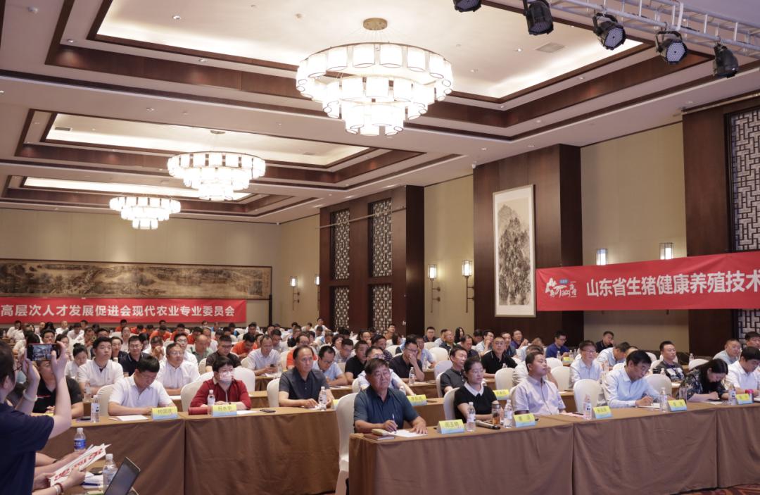 生猪行业大会,全国猪业大会论坛