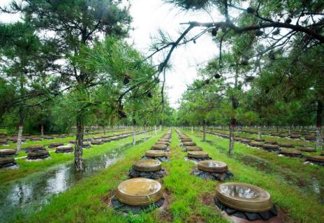 公认最好喝的6款白酒,公认最好喝的5款白酒