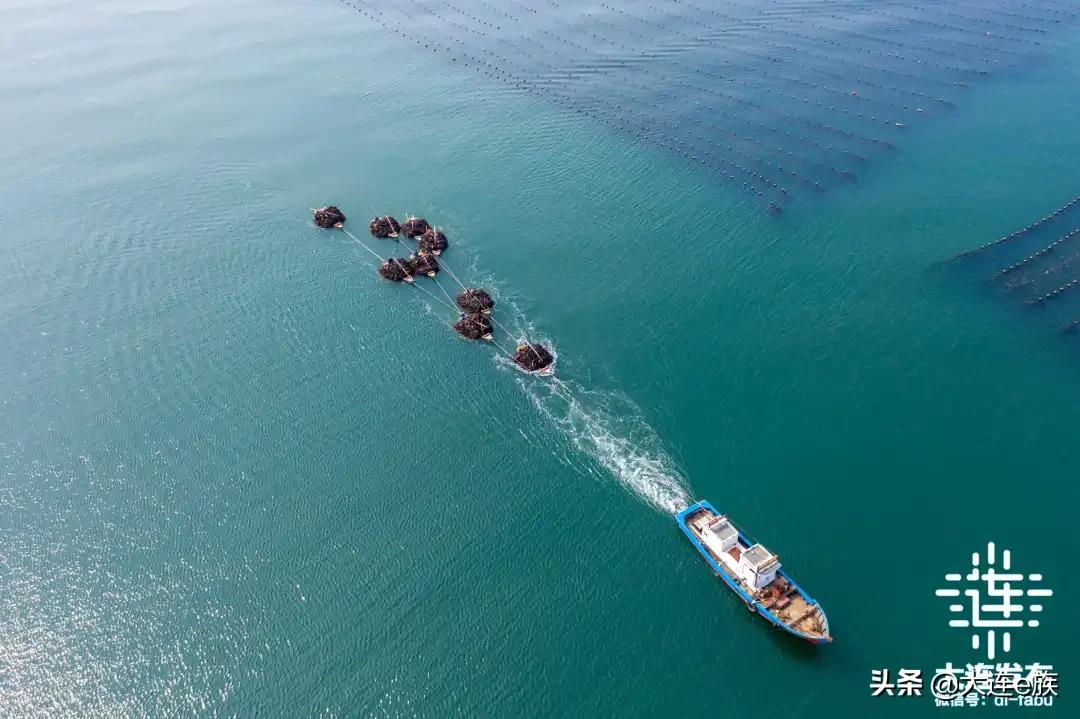 海洋强区未来发展,大连国家海洋中心城市