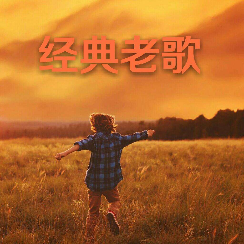 怀念青春岁月的歌都有哪些,那些充满青春回忆的歌曲